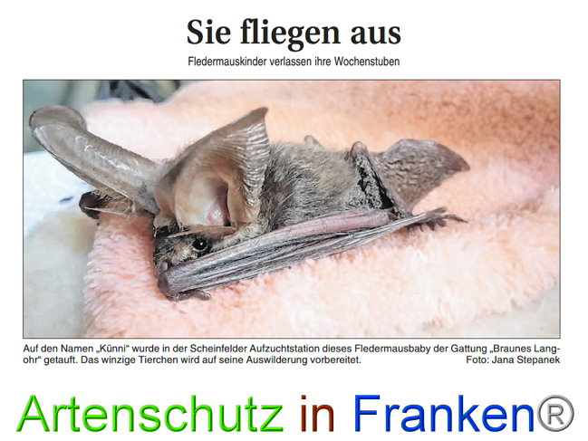 © FLZ / Stepanek Bild zum Eintrag (1034487-160)
