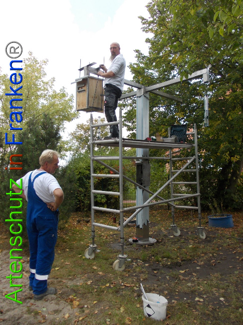 © Artenschutz in Franken® Bild zum Eintrag (1034539-160)