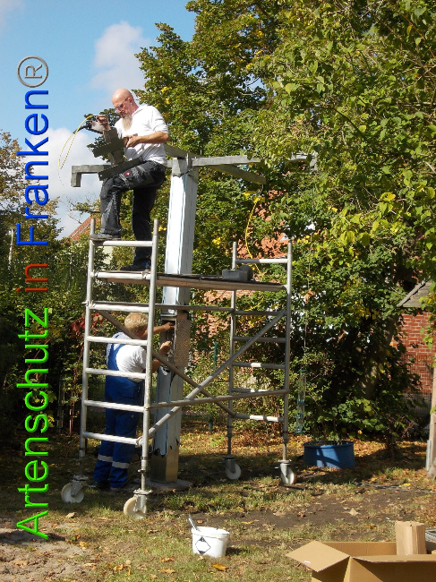 © Artenschutz in Franken® Bild zum Eintrag (1034543-160)