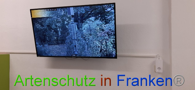 © Artenschutz in Franken® Bild zum Eintrag (1034559-160)