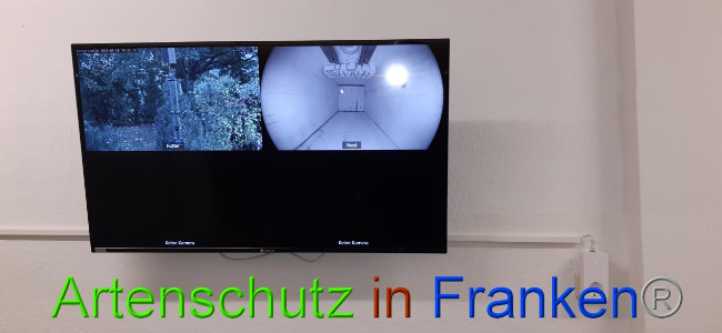 © Artenschutz in Franken® Bild zum Eintrag (1034560-160)