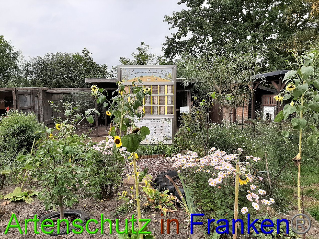 Bild zum Eintrag (1034780-160)