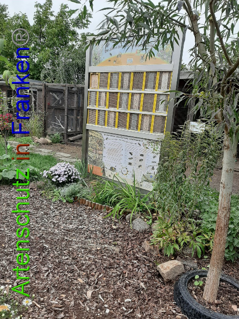 Bild zum Eintrag (1034782-160)