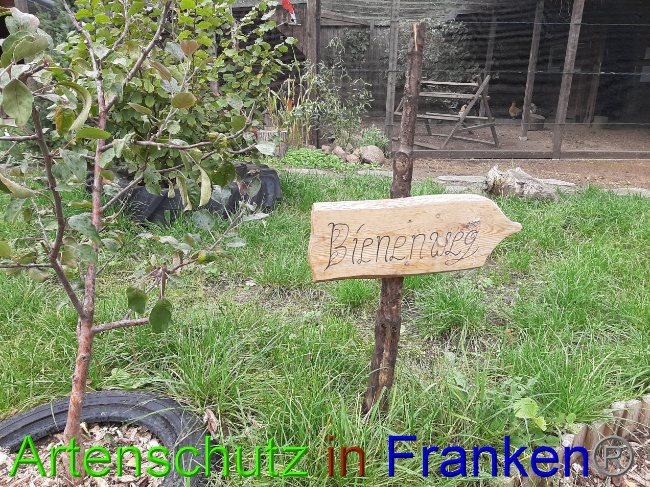 Bild zum Eintrag (1034784-160)