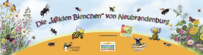 © Artenschutz in Franken® Bild zum Eintrag (1034785-160)