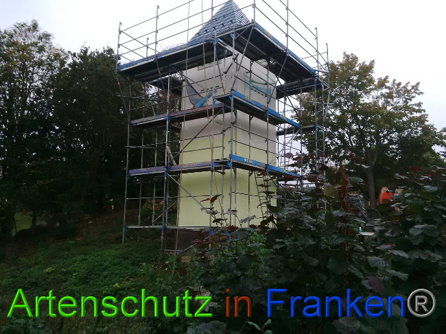 © Artenschutz in Franken® Bild zum Eintrag (1034836-160)