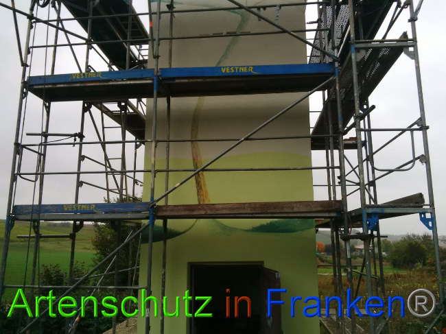 © Artenschutz in Franken® Bild zum Eintrag (1034838-160)