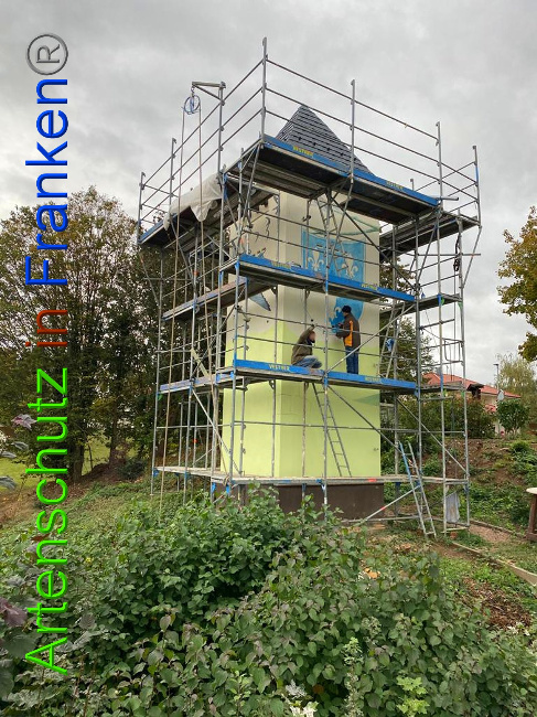 © Artenschutz in Franken® / Keber Bild zum Eintrag (1034892-160)