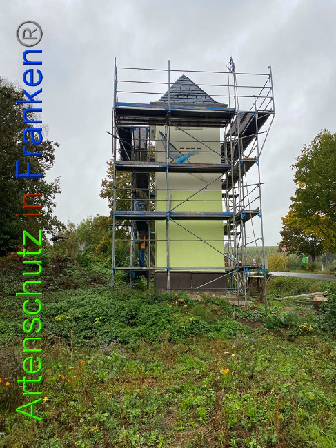 © Artenschutz in Franken® / Keber Bild zum Eintrag (1034893-160)
