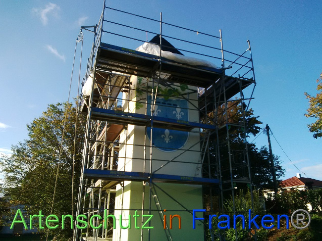 © Artenschutz in Franken® Bild zum Eintrag (1035009-160)