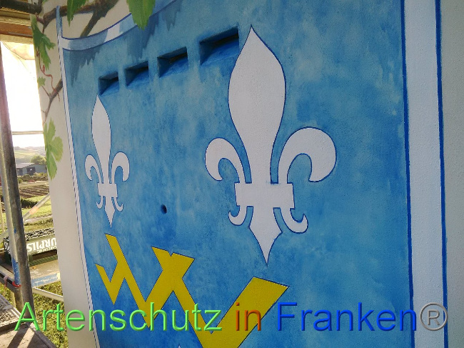 © Artenschutz in Franken® Bild zum Eintrag (1035010-160)