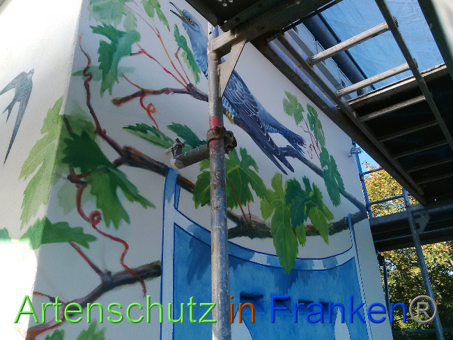 © Artenschutz in Franken® Bild zum Eintrag (1035013-160)