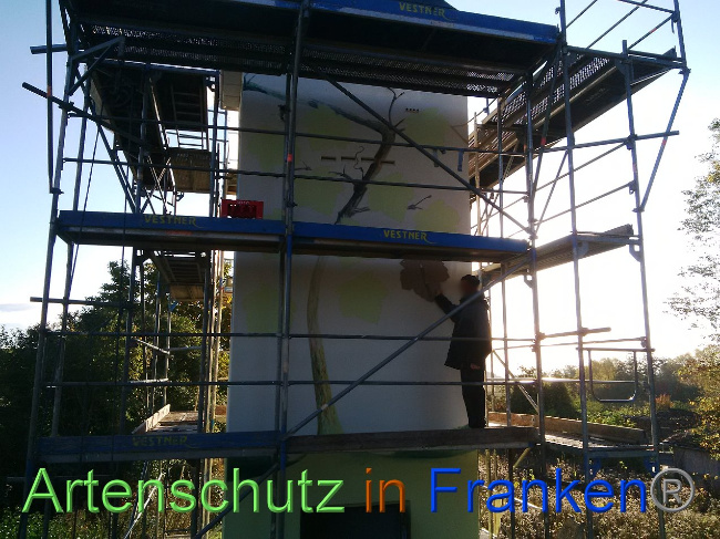 © Artenschutz in Franken® Bild zum Eintrag (1035018-160)