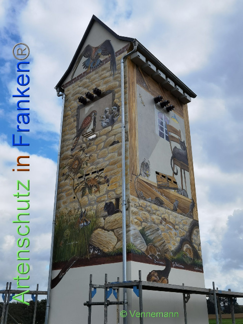 © Artenschutz in Franken® / Vennemann Bild zum Eintrag (1035125-160)