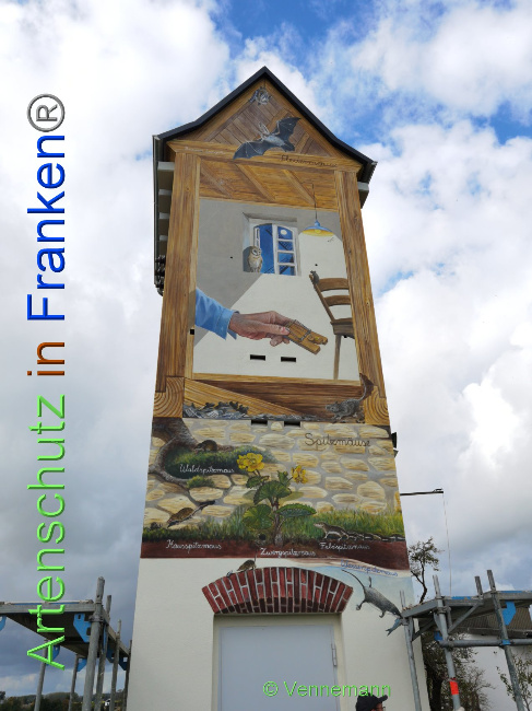 © Artenschutz in Franken® / Vennemann Bild zum Eintrag (1035128-160)