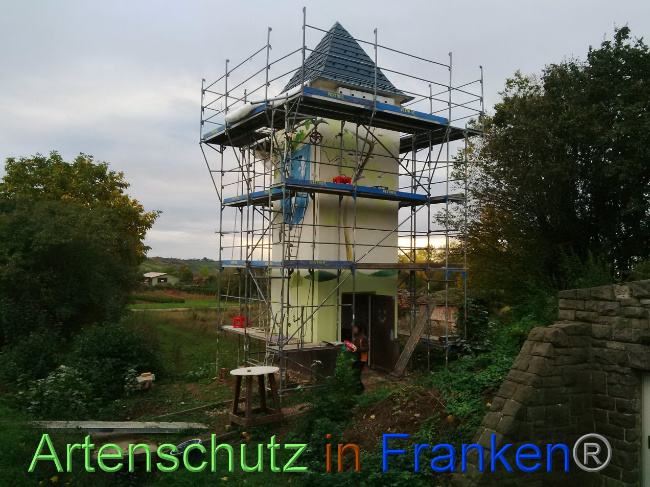© Artenschutz in Franken® Bild zum Eintrag (1035142-160)