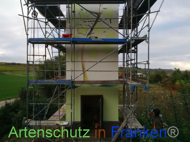 © Artenschutz in Franken® Bild zum Eintrag (1035143-160)
