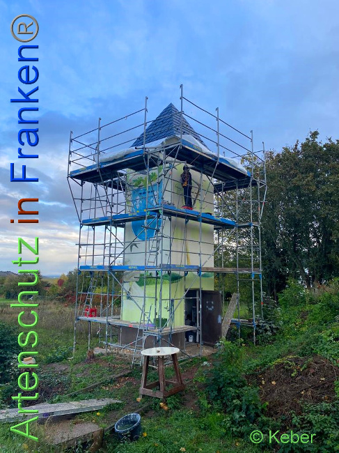 © Artenschutz in Franken® / Keber Bild zum Eintrag (1035166-160)