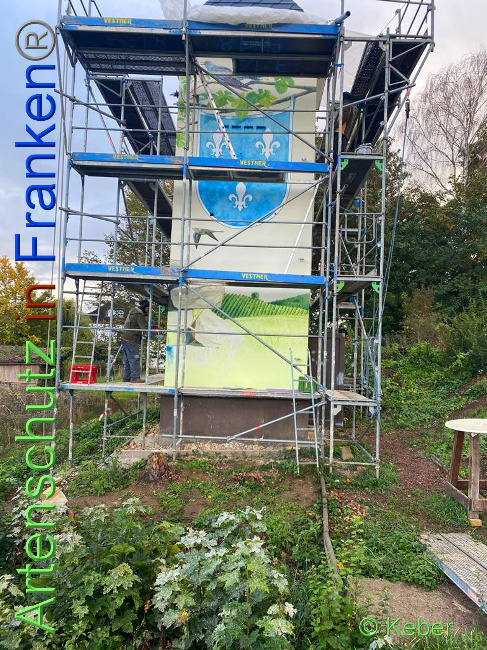 © Artenschutz in Franken® / Keber Bild zum Eintrag (1035167-160)