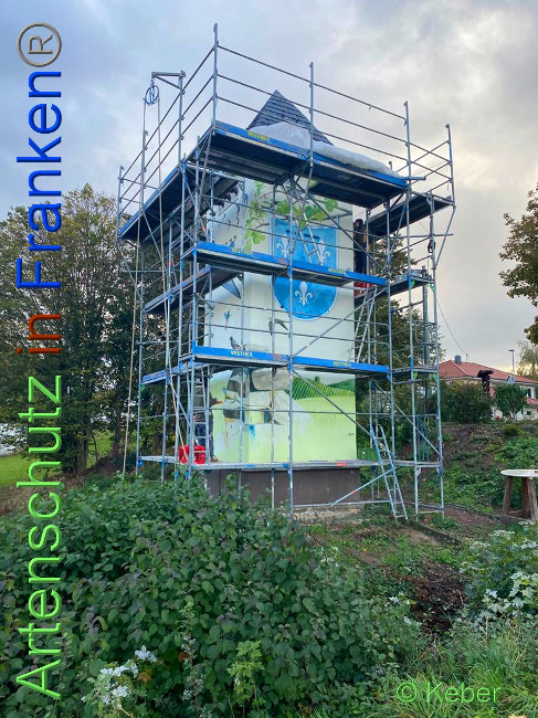 © Artenschutz in Franken® / Keber Bild zum Eintrag (1035168-160)