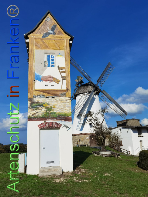 © Artenschutz in Franken® / Vennemann Bild zum Eintrag (1035226-160)