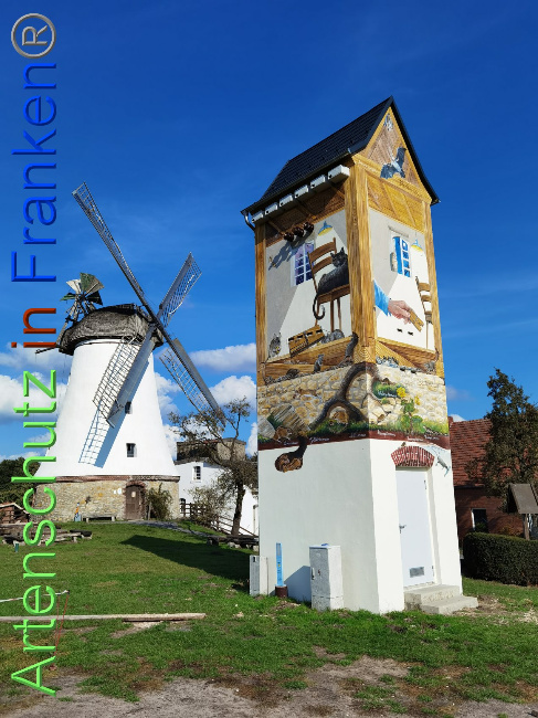 © Artenschutz in Franken® / Vennemann Bild zum Eintrag (1035228-160)