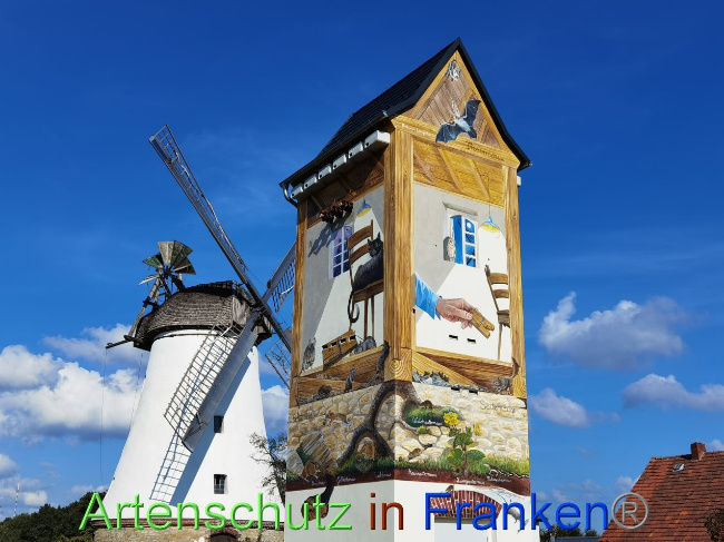 © Artenschutz in Franken® / Vennemann Bild zum Eintrag (1035229-160)