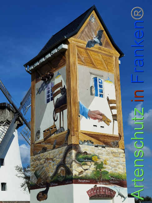 © Artenschutz in Franken® / Vennemann Bild zum Eintrag (1035230-160)