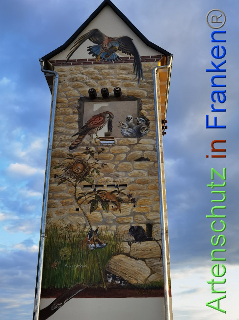 © Artenschutz in Franken® / Vennemann Bild zum Eintrag (1035232-160)