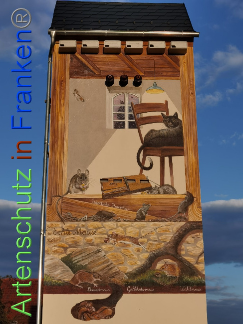 © Artenschutz in Franken® / Vennemann Bild zum Eintrag (1035238-160)