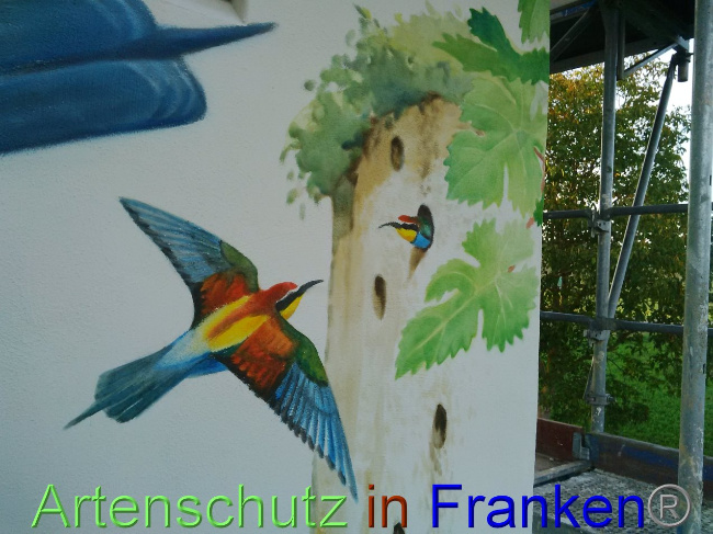 © Artenschutz in Franken® Bild zum Eintrag (1035310-160)