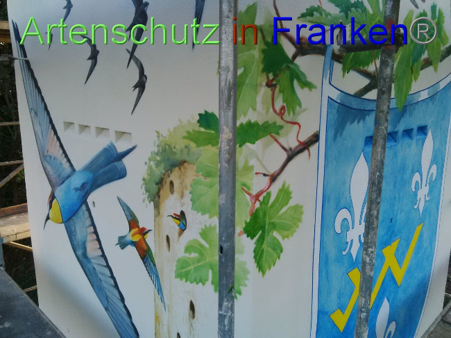 © Artenschutz in Franken® Bild zum Eintrag (1035311-160)