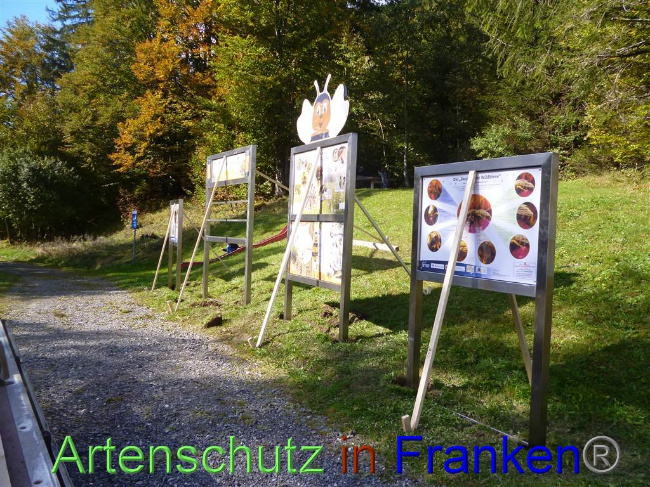 Bild zum Eintrag (1035322-160)