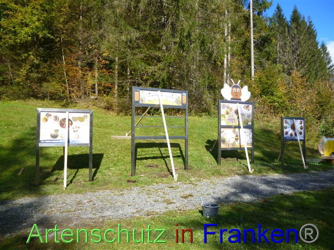 Bild zum Eintrag (1035324-160)