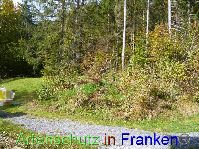 Bild zum Eintrag (1035329-160)