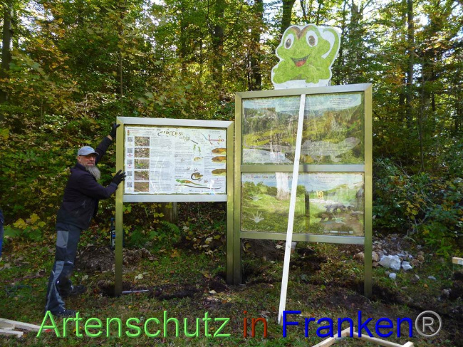 Bild zum Eintrag (1035330-160)