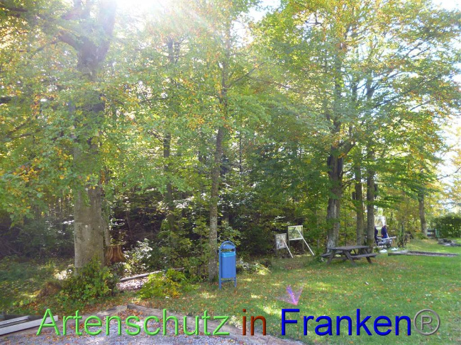 © Artenschutz in Franken® Bild zum Eintrag (1035332-160)