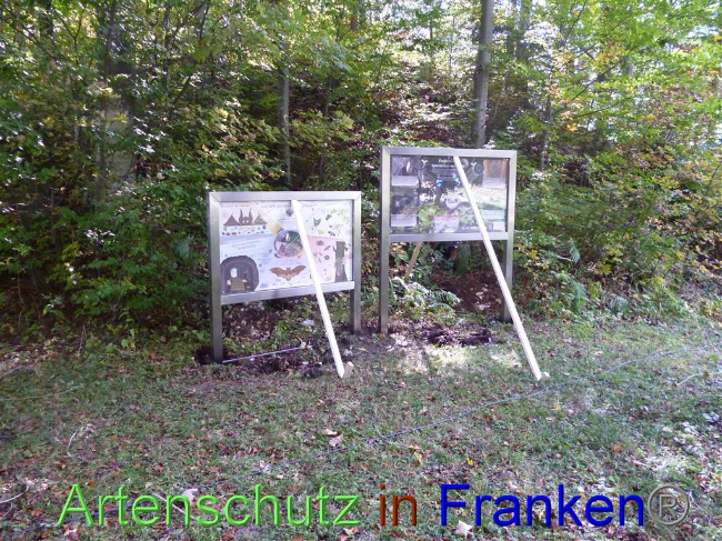 © Artenschutz in Franken® Bild zum Eintrag (1035335-160)