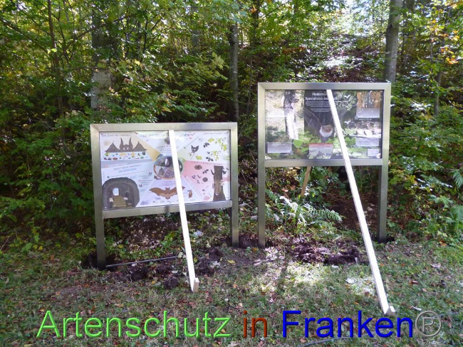 © Artenschutz in Franken® Bild zum Eintrag (1035336-160)