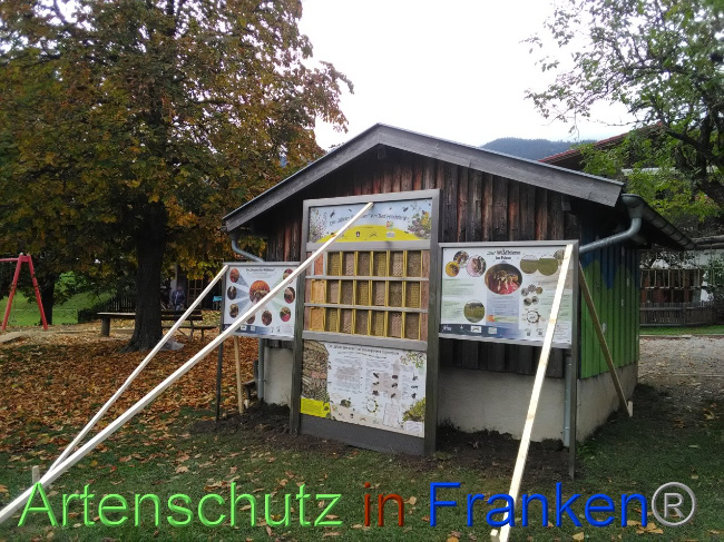 © Artenschutz in Franken® Bild zum Eintrag (1035407-160)
