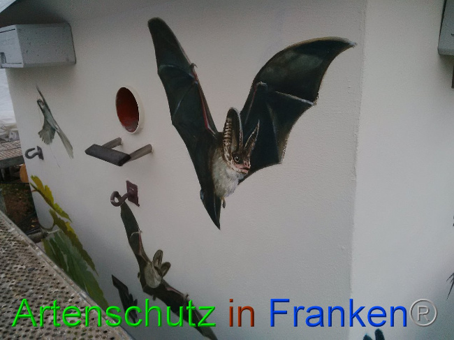 © Artenschutz in Franken® Bild zum Eintrag (1035511-160)