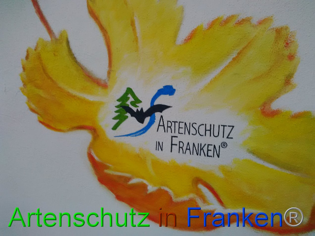 © Artenschutz in Franken® Bild zum Eintrag (1035512-160)