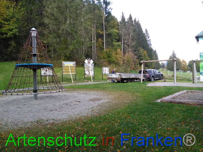 © Artenschutz in Franken® Bild zum Eintrag (1035522-160)