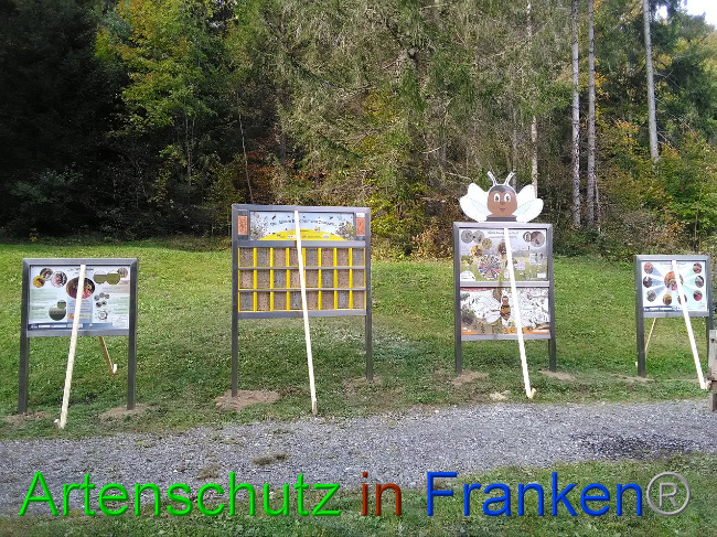 © Artenschutz in Franken® Bild zum Eintrag (1035525-160)