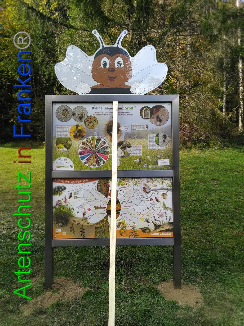 © Artenschutz in Franken® Bild zum Eintrag (1035526-160)