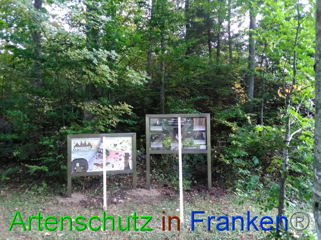 Bild zum Eintrag (1035538-160)
