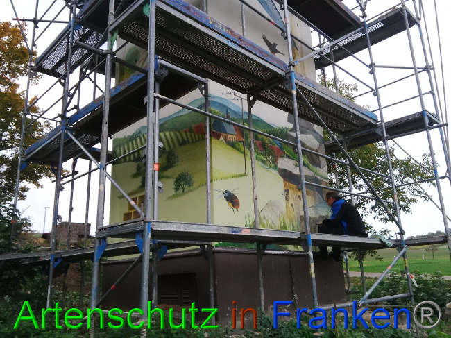 © Artenschutz in Franken® Bild zum Eintrag (1035637-160)