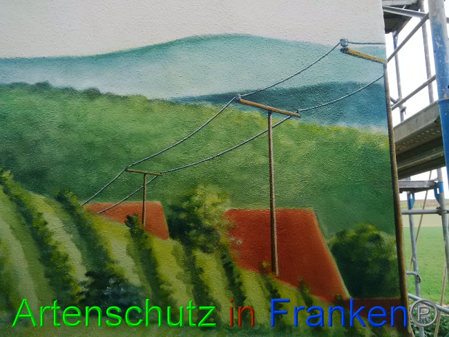 © Artenschutz in Franken® Bild zum Eintrag (1035639-160)