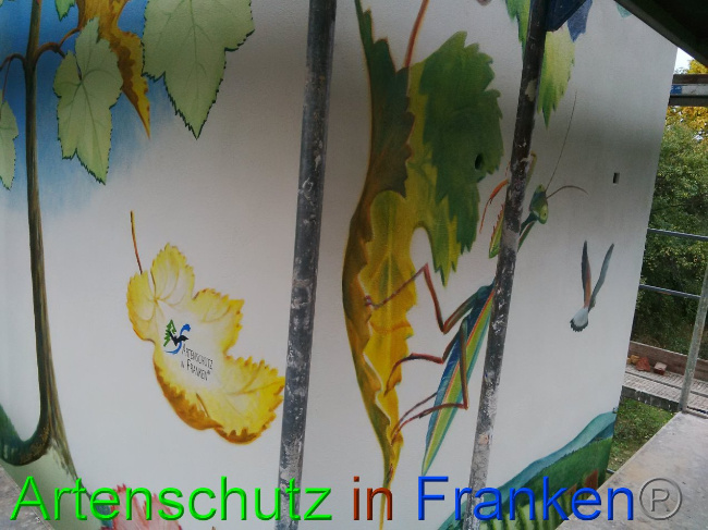 © Artenschutz in Franken® Bild zum Eintrag (1035640-160)