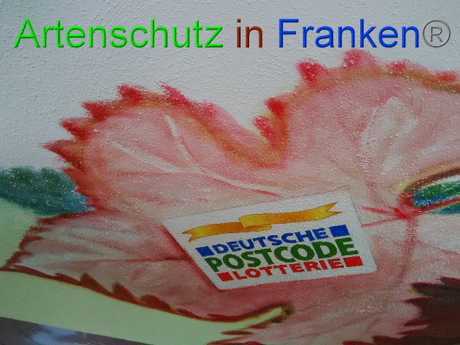 © Artenschutz in Franken® Bild zum Eintrag (1035645-160)